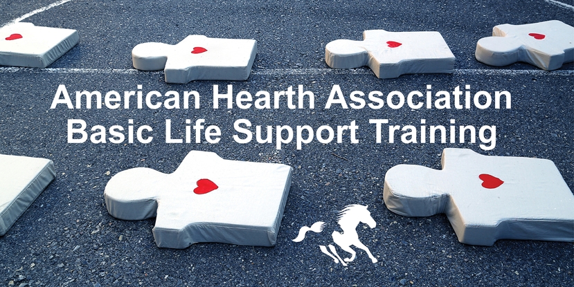 Need a CPR course?